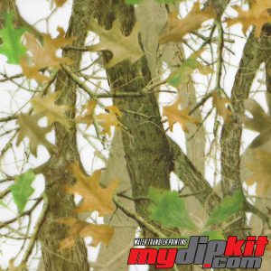 tan and green leaves with tree branches