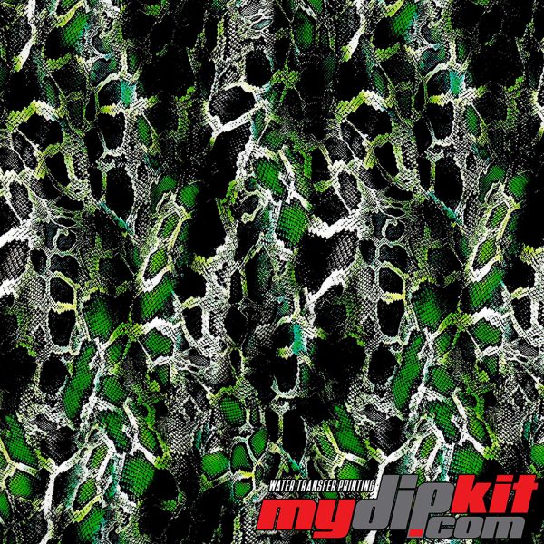 green snake skin