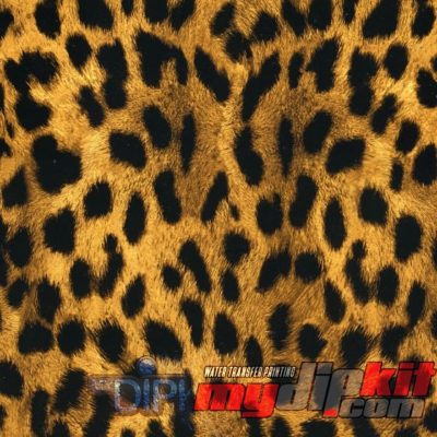 Cheetah Print Film-AP-033