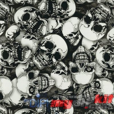 Large Skulls - Film-DD-931