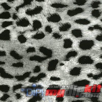 Gray Cheetah - Film-DD-952