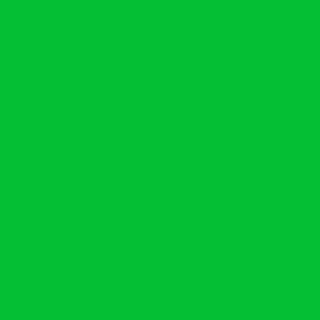 Neon Green Paint Chip